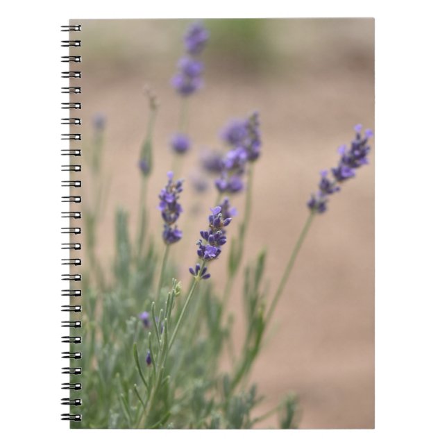 Lavendel Notebook/Journal Notizblock (Vorderseite)