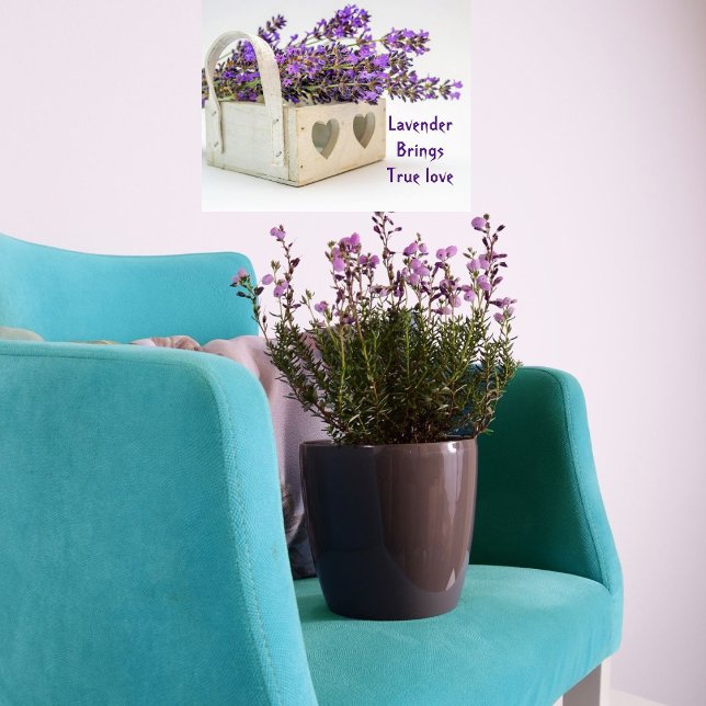 Lavendel Park/Garten: Ein perfektes Wochenende in  Poster (Von Creator hochgeladen)