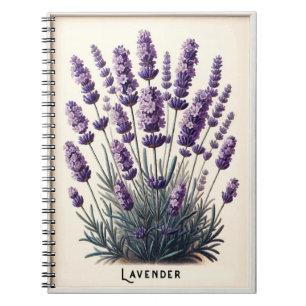 Lavendel Pflanze Blüten Blumen Kräuter Journal Notizblock