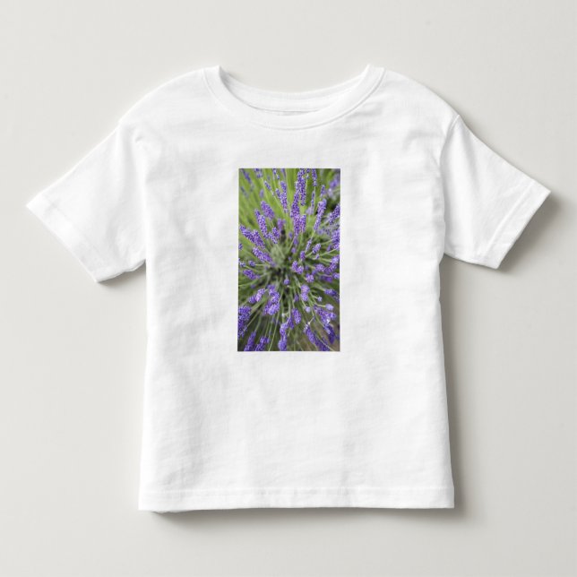 Lavendel-Pflanze Kleinkind T-shirt (Vorderseite)