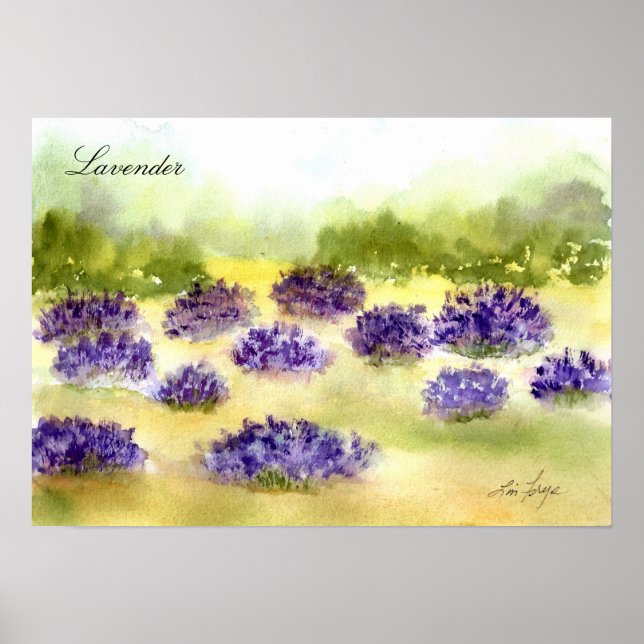 Lavendel Pflanze Poster (Vorne)