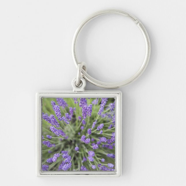 Lavendel-Pflanze Schlüsselanhänger (Vorne)
