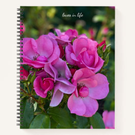 Lavendel Pink Rose Hardcover Notizbuch
