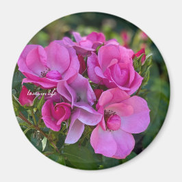 Lavendel Pink Rose Magnet