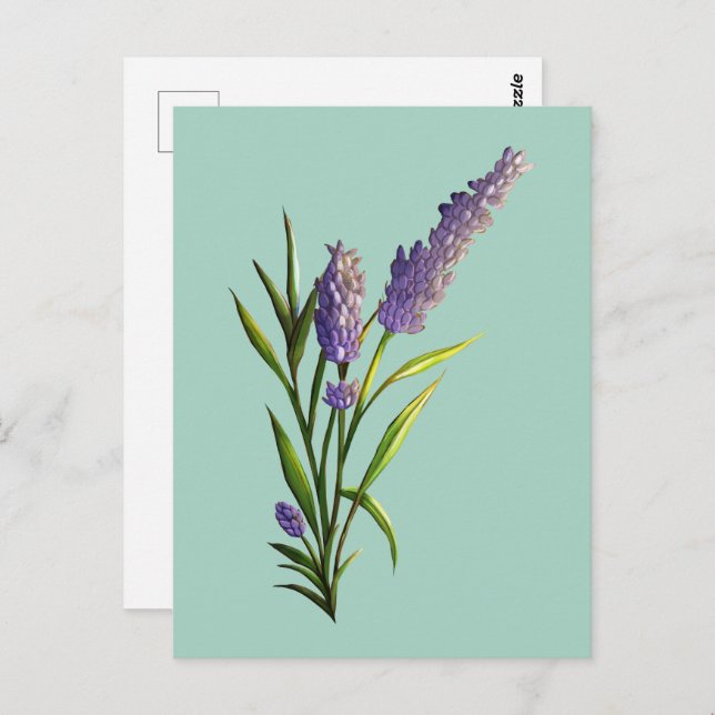 Lavendel Postcard Postkarte (Vorne/Hinten)