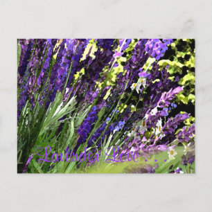 Lavendel Postcard Postkarte