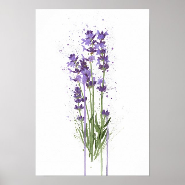 Lavendel Poster (Vorne)