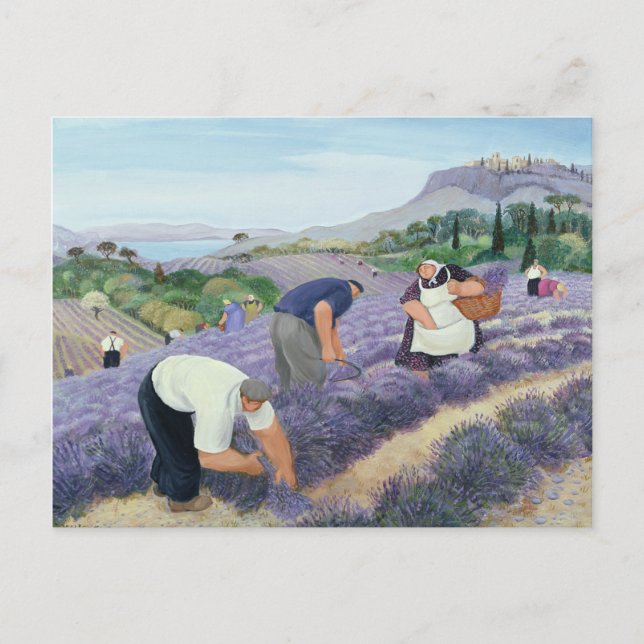 Lavendel Postkarte (Vorderseite)