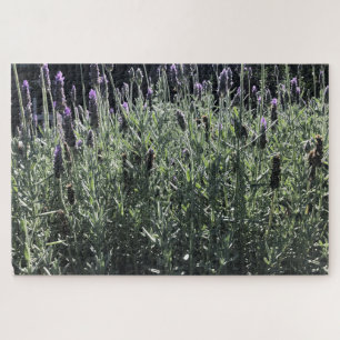 Lavendel Puzzle