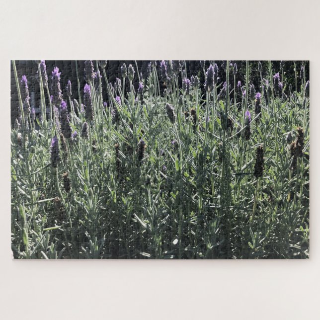 Lavendel Puzzle (Horizontal)