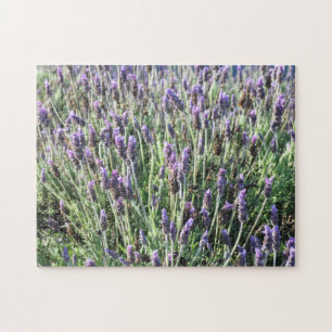 Lavendel Puzzle