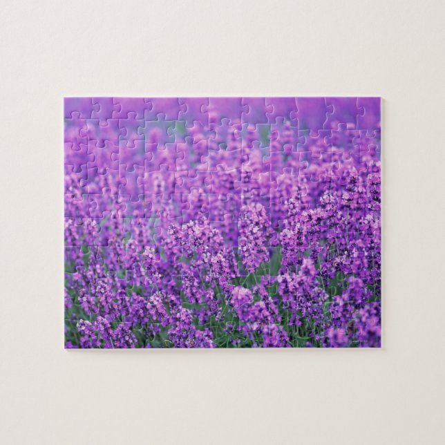 Lavendel Puzzle (Horizontal)
