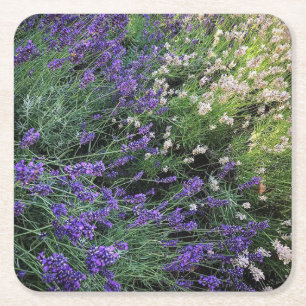 Lavendel Rechteckiger Pappuntersetzer