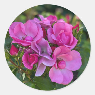 Lavendel Rosa Rose Runder Aufkleber