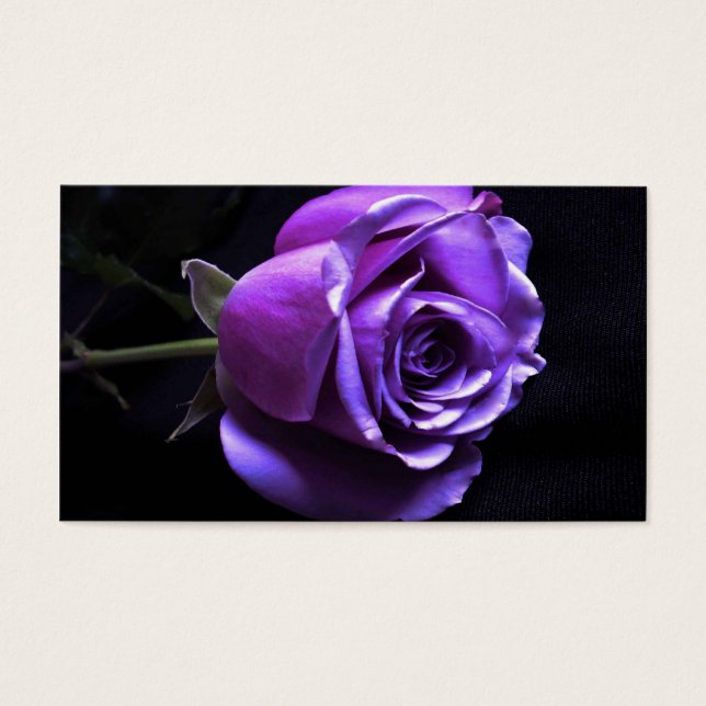 Lavendel-Rose (Vorderseite)