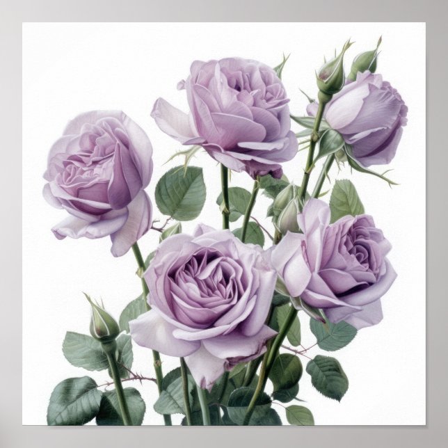 Lavendel Rose Blume Art Print Poster (Vorne)