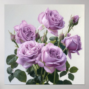 Lavendel Rose Blume Art Print Poster