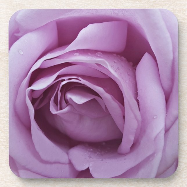 Lavendel-Rose Getränkeuntersetzer (Vorderseite)