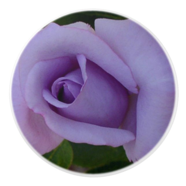 Lavendel-Rose Keramikknauf (Vorderseite)