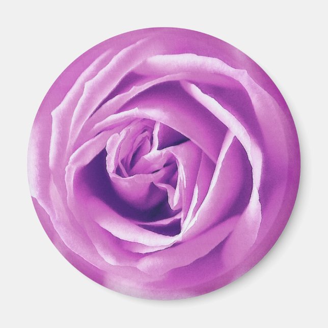 Lavendel-Rose Magnet (Vorne)