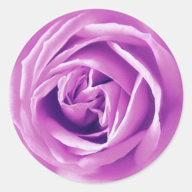 Lavendel-Rose Runder Aufkleber (Vorderseite)