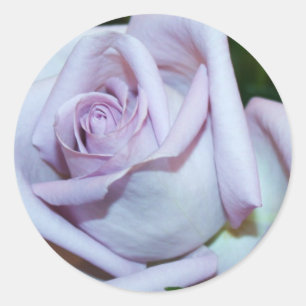 Lavendel Rose Umschlag Aufkleber & Sticker
