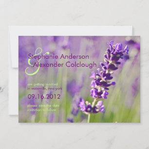Lavendel • Save the Date Mitteilung