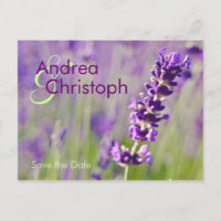 Lavendel • Save-the-Date-Postkarte