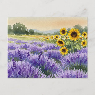Lavendel-Sonnenblumenfeld Sommer Provence Postkart Postkarte