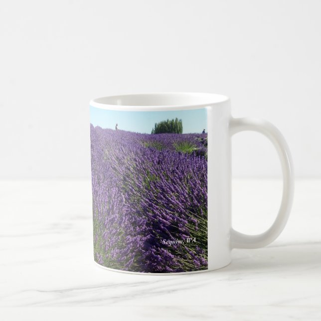 Lavendel stellt Sequim, WA Tasse auf (Rechts)