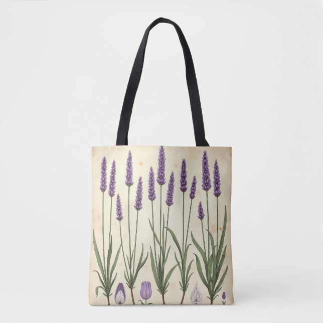 Lavendel-Studie – Vintage-Botanik AOP (Vorderseite)