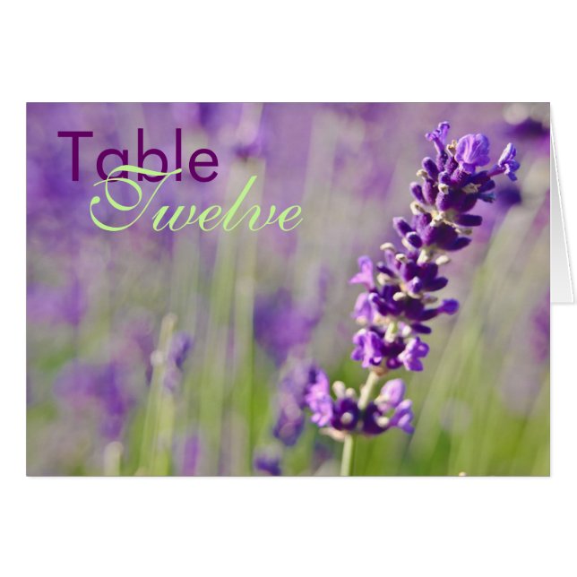 Lavendel • Tabellen-Karte (Vorderseite (Horizontal))