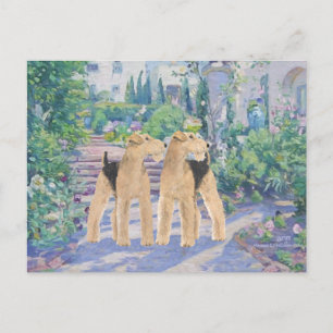 Lavendel-Traum Postkarte