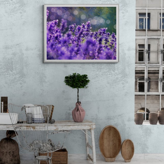 Lavendel-Träume Fotodruck (Von Creator hochgeladen)