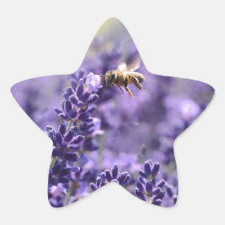 Lavendel und Bienen Stern-Aufkleber