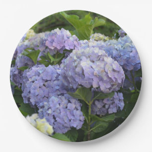 Lavendel- und Flieder-Hortensien-Hydrangeen-Blüten Pappteller