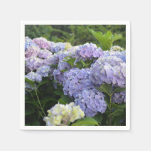 Lavendel- und rosa Hortensien-Hydrangeenblüten