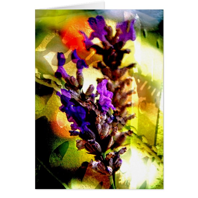 Lavendel und Rost-Collage - Karte (Vorne)