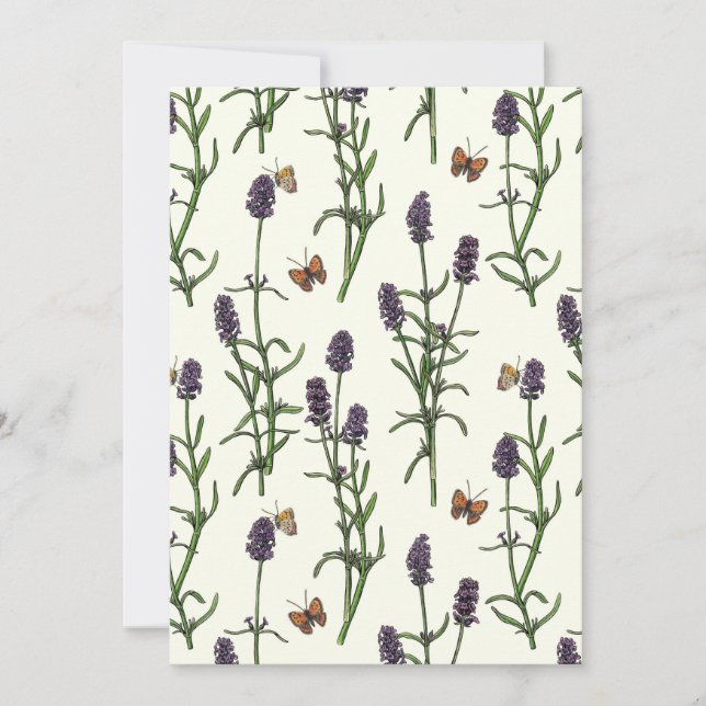 Lavendel und Schmetterlinge auf weiß (Vorderseite)