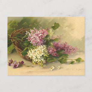 Lavendel und Weiße Schönheit Postkarte
