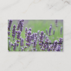 Lavendel Visitenkarte