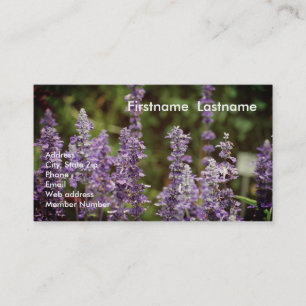 Lavendel-Visitenkarte Visitenkarte