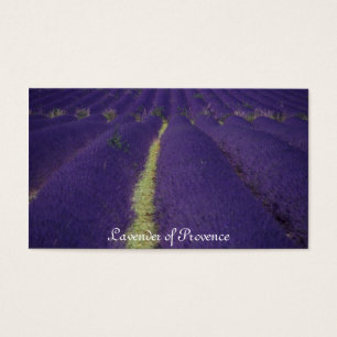 Lavendel von Provence
