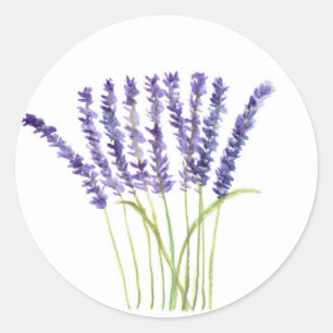 Lavendel-Wasserfarbe lila Blumen Kräuter Runder Aufkleber