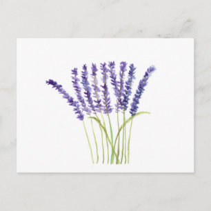 Lavendel-Wasserfarbe Lila Blumen Rustikal Postkarte