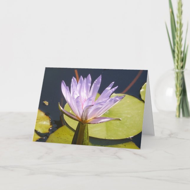 Lavendel Water Lily Card Karte (Vorderseite)