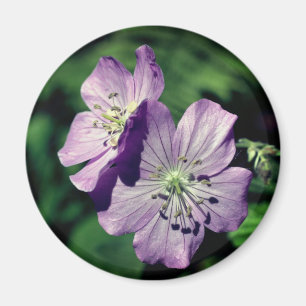 Lavendel Zwillinge Geranien Blumen Fotografie Magnet