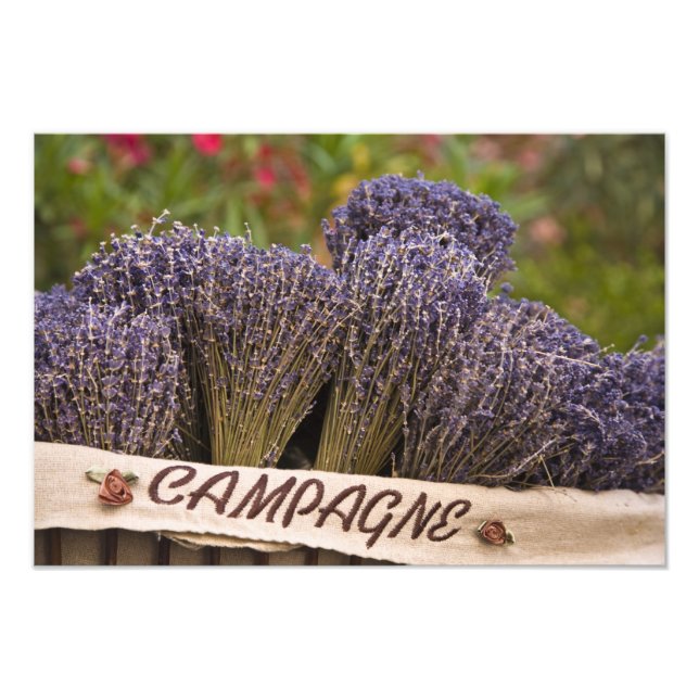 Lavendelbänder, Vence, Provence, Fotodruck (Vorne)