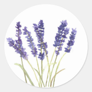 Lavendelblüten französischer Lavendel Aquarell Nat Runder Aufkleber