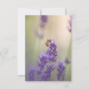 Lavendelblüten-Honigbiene Naturfoto Karte